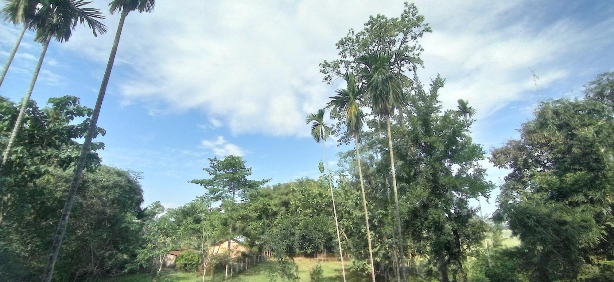 Hotel Kaziranga Holidays Extérieur photo